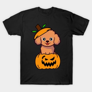 Cute Brown Dog is in a pumpkin T-Shirt